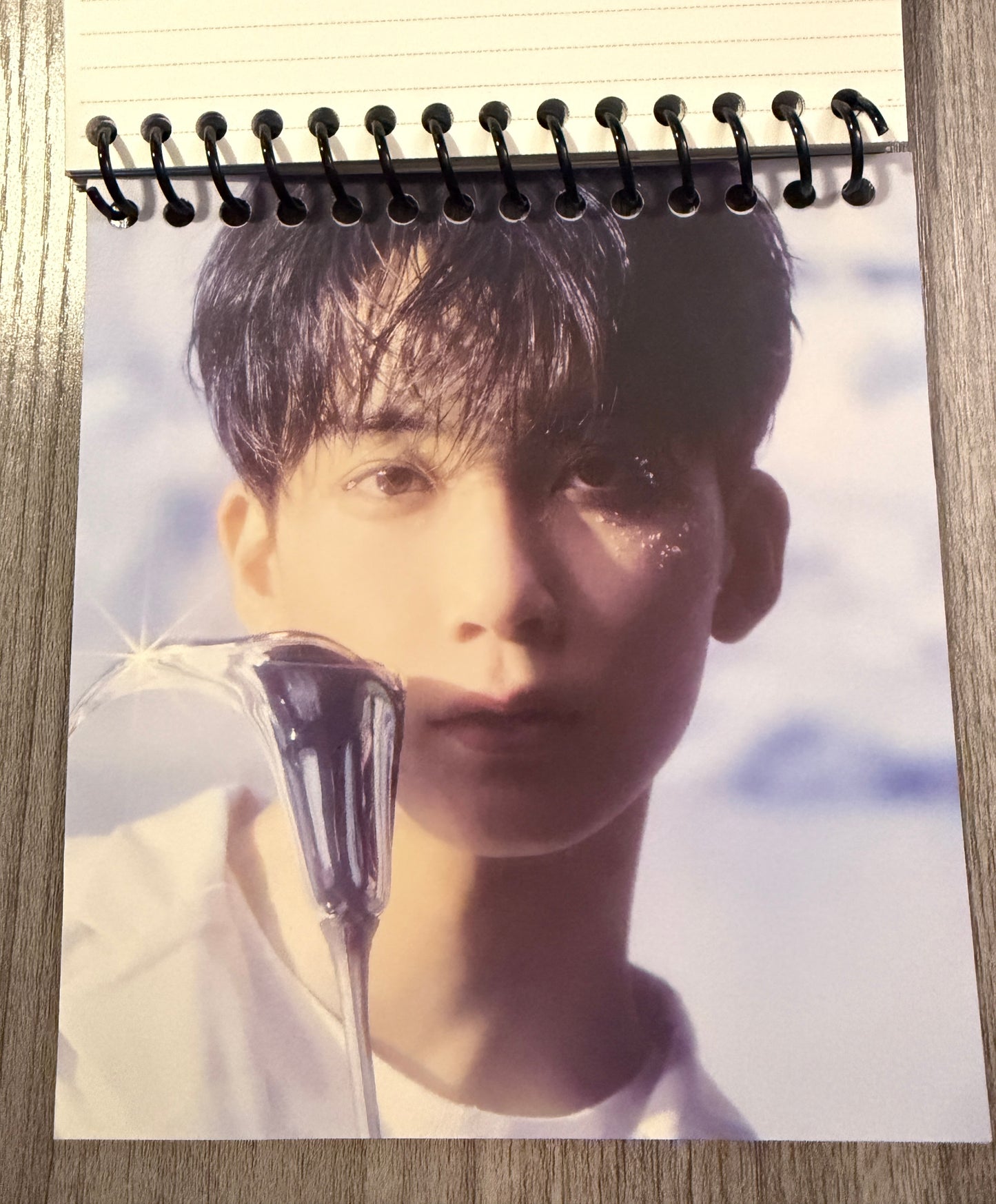 Seventeen "Sector 17" Notebook Ver. 1