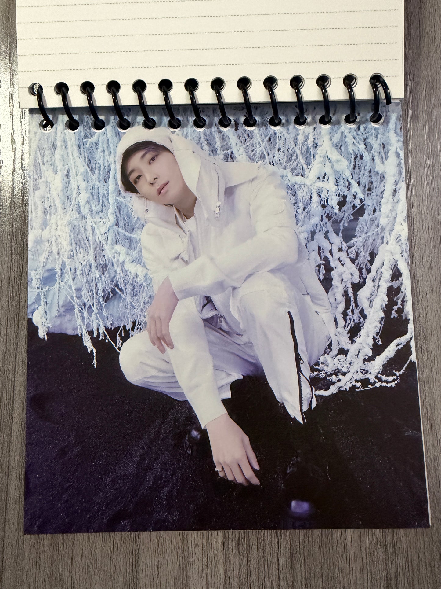Seventeen "Sector 17" Notebook Ver. 1