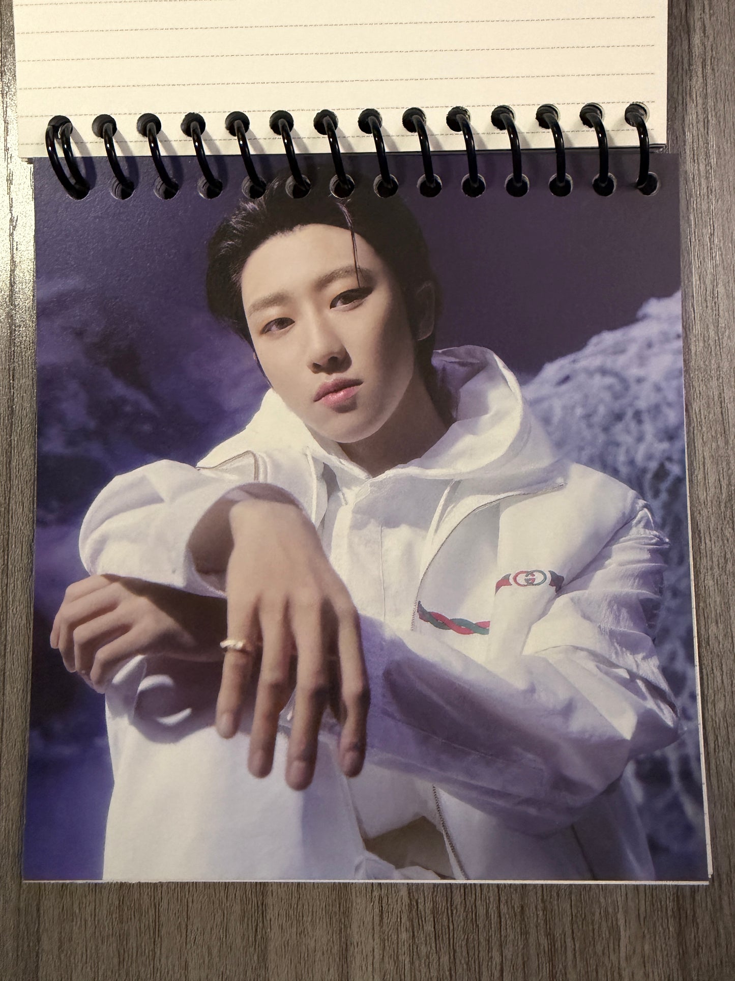 Seventeen "Sector 17" Notebook Ver. 1