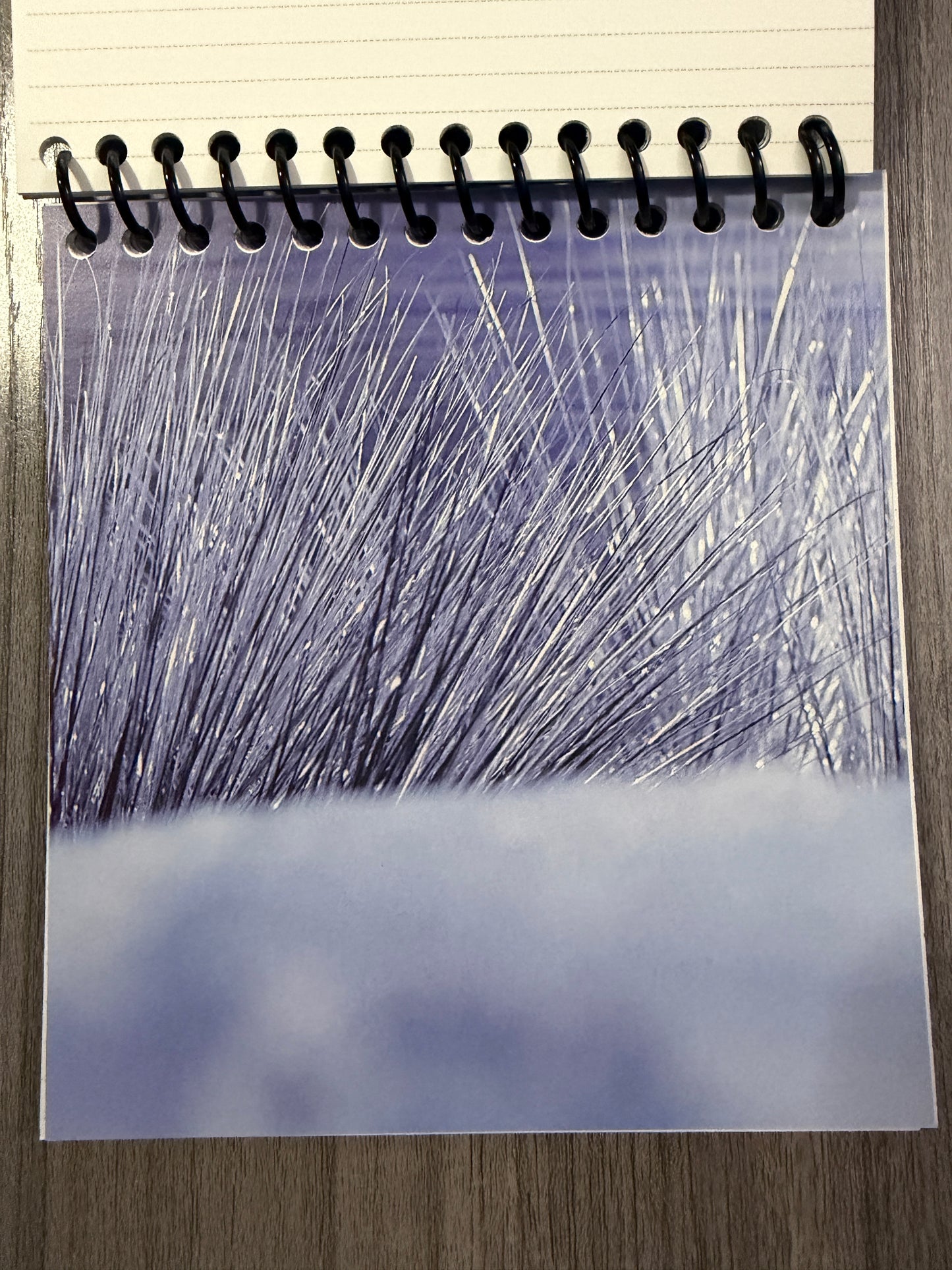 Seventeen "Sector 17" Notebook Ver. 1