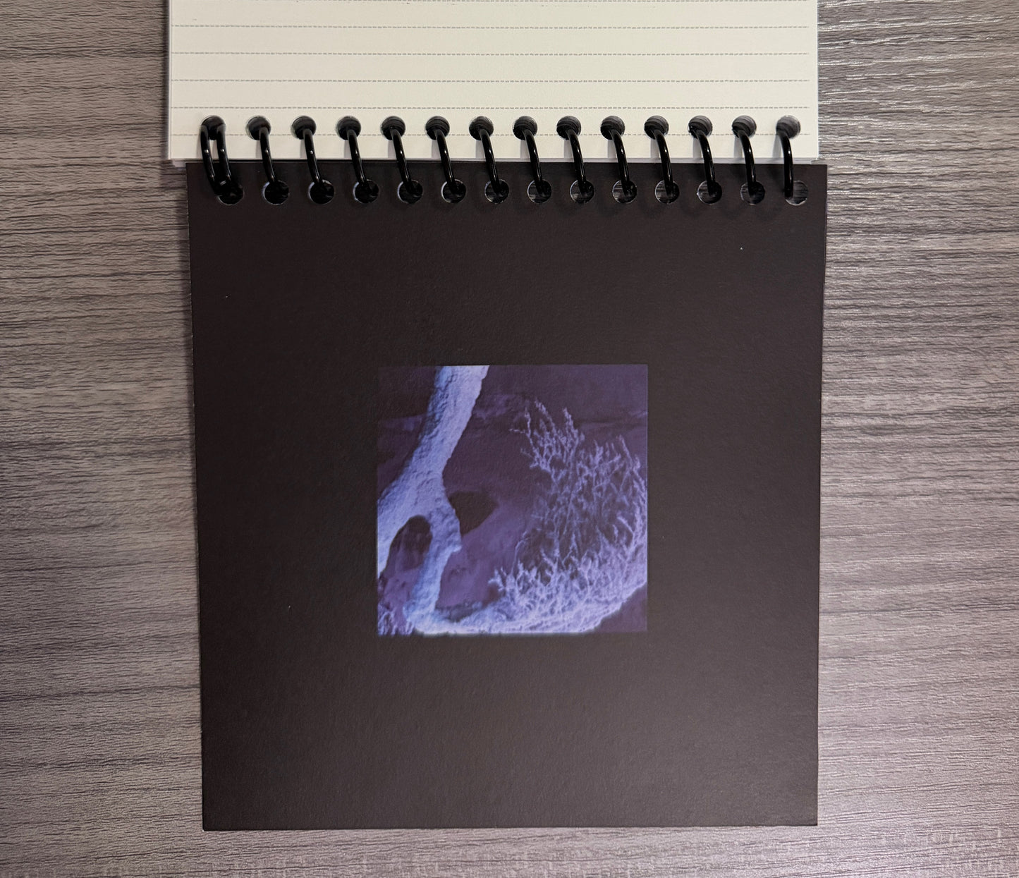 Seventeen "Sector 17" Notebook Ver. 1