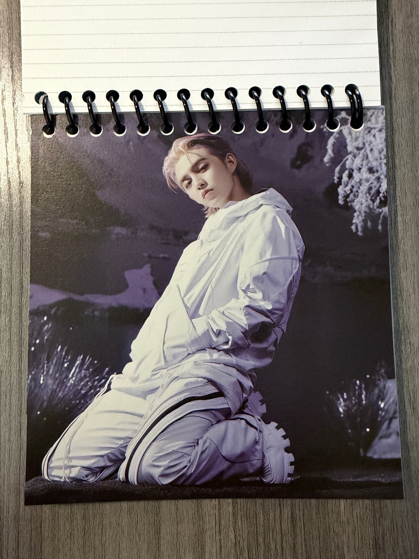 Seventeen "Sector 17" Notebook Ver. 2