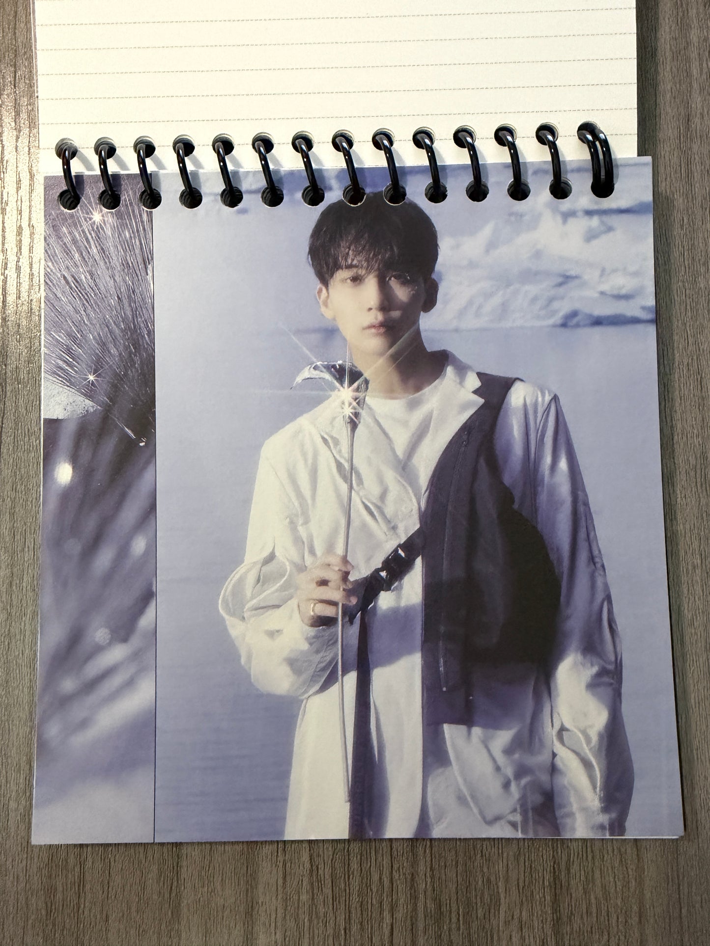 Seventeen "Sector 17" Notebook Ver. 2