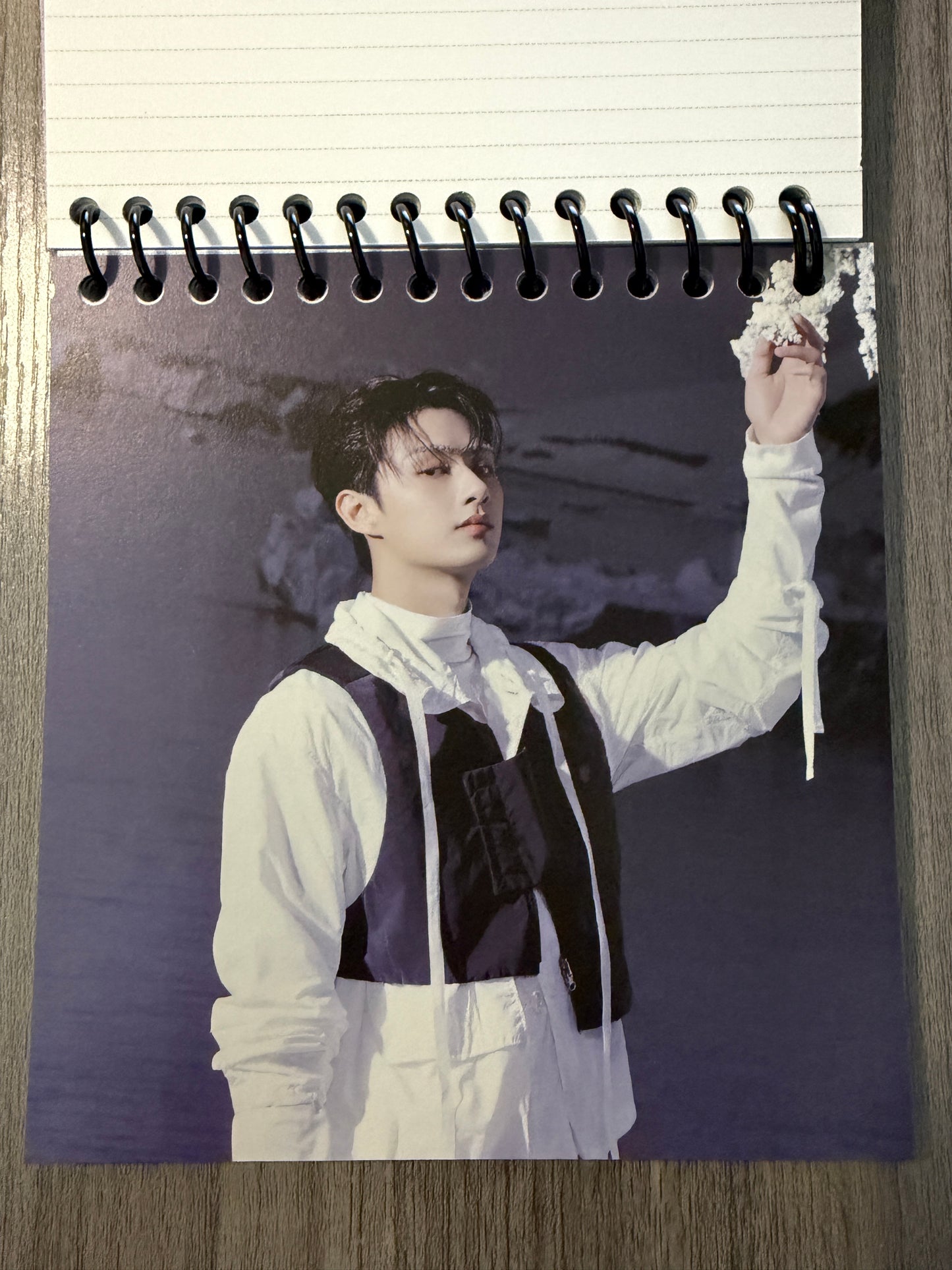 Seventeen "Sector 17" Notebook Ver. 2