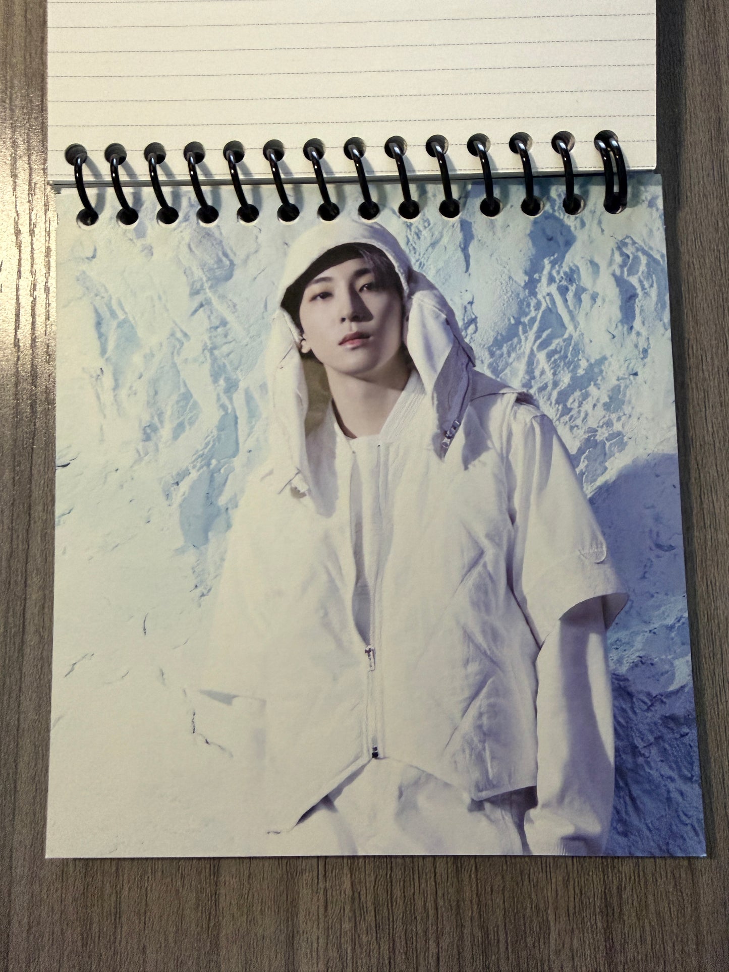 Seventeen "Sector 17" Notebook Ver. 2