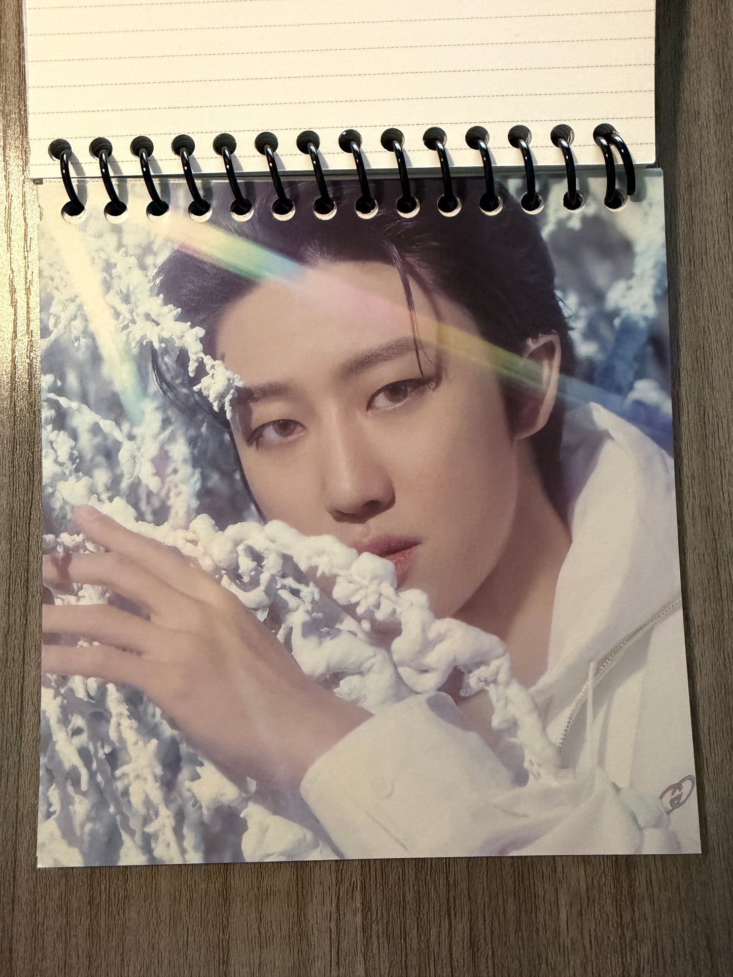 Seventeen "Sector 17" Notebook Ver. 2