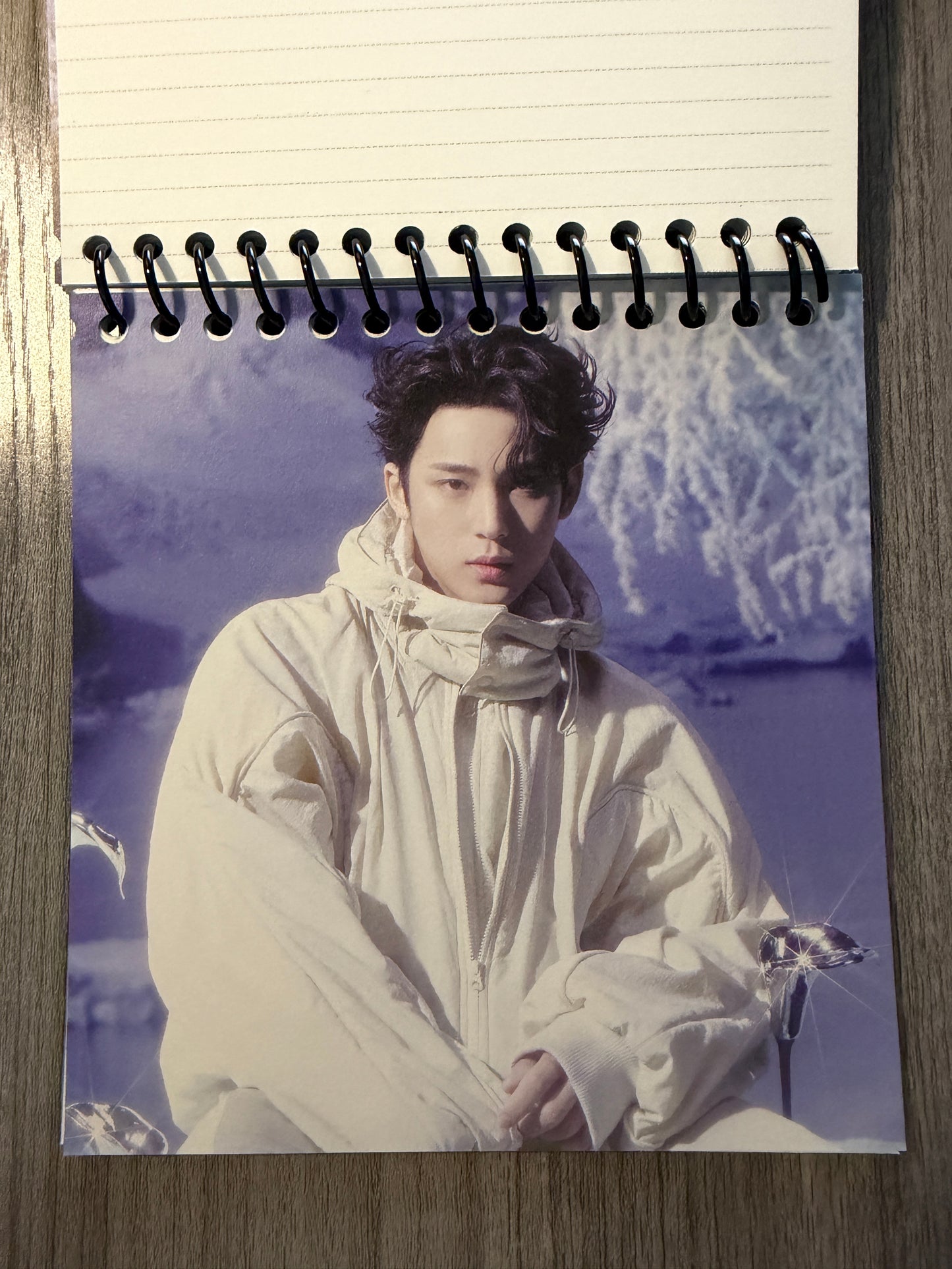 Seventeen "Sector 17" Notebook Ver. 2